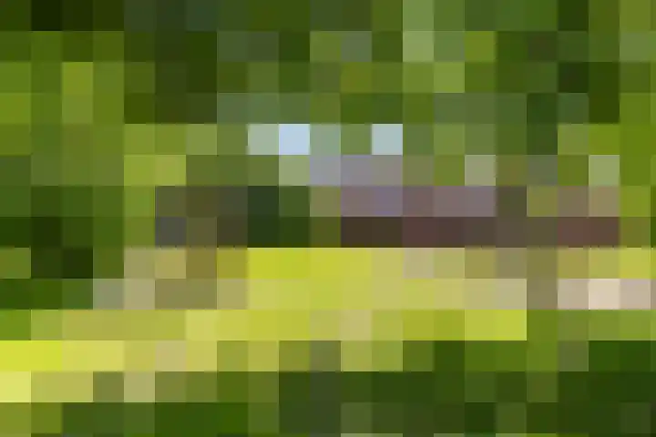 Melisseweg 17 k Groningen thumbnail 44