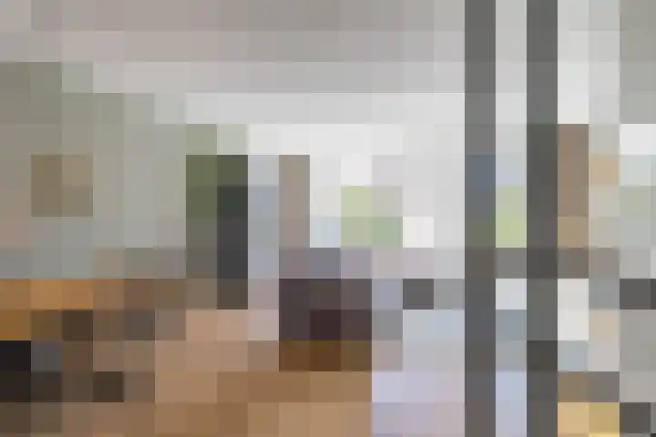 Melisseweg 17 k Groningen thumbnail 6