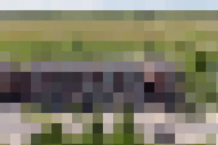 Melkbocht 25 in Gouda