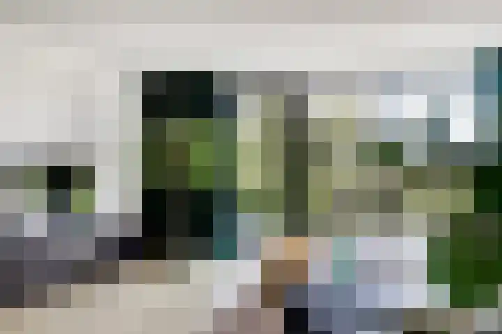 Melkbocht 25 Gouda thumbnail 11