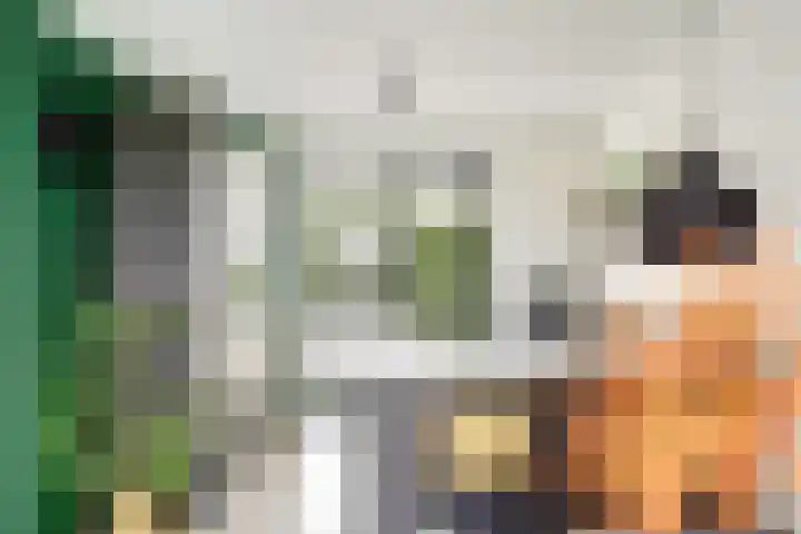 Melkbocht 25 Gouda thumbnail 17