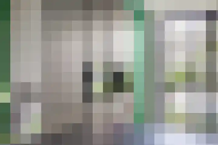 Melkbocht 25 Gouda thumbnail 18