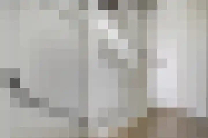 Melkbocht 25 Gouda thumbnail 20