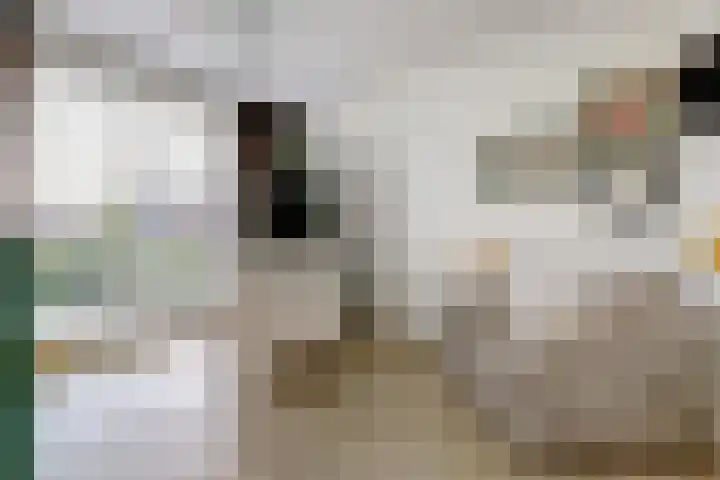 Melkbocht 25 Gouda thumbnail 21