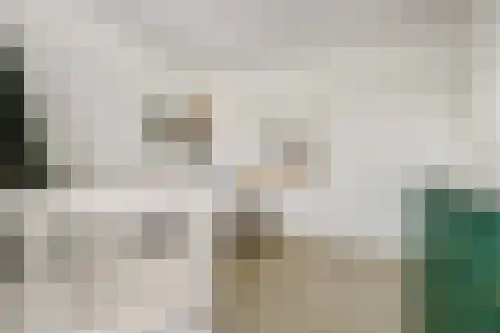 Melkbocht 25 Gouda thumbnail 22