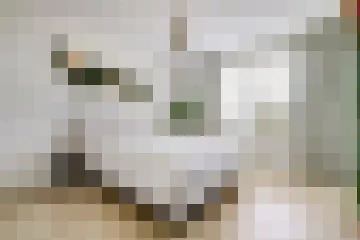 Melkbocht 25 Gouda thumbnail 23