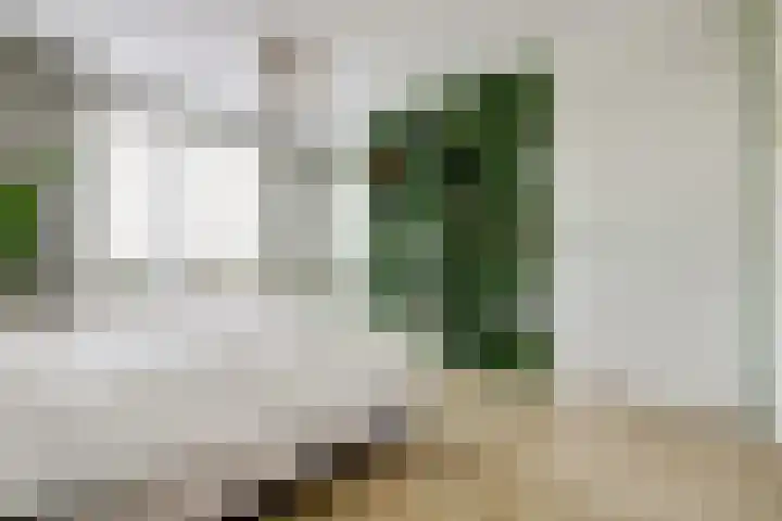 Melkbocht 25 Gouda thumbnail 24