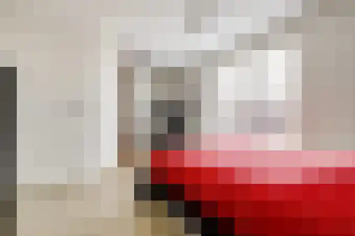 Melkbocht 25 Gouda thumbnail 32