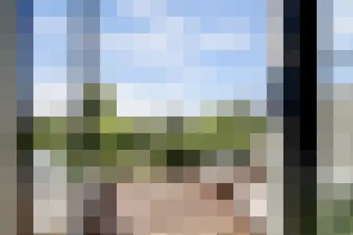 Melkbocht 25 Gouda thumbnail 35