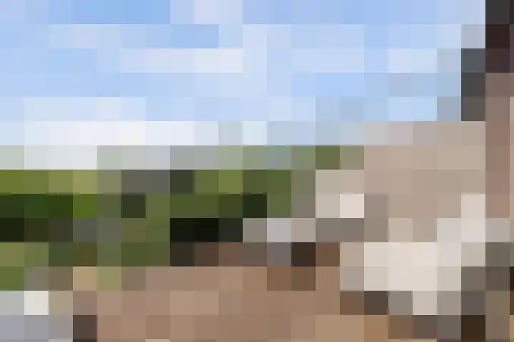 Melkbocht 25 Gouda thumbnail 36