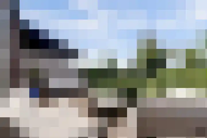 Melkbocht 25 Gouda thumbnail 37