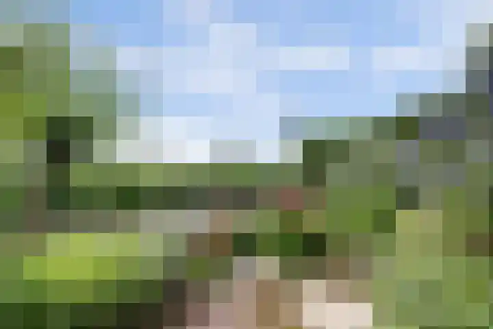 Melkbocht 25 Gouda thumbnail 39