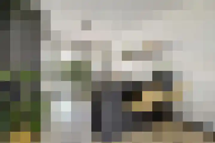 Melkbocht 25 Gouda thumbnail 4
