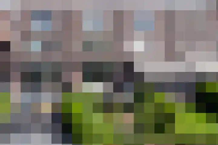 Melkbocht 25 Gouda thumbnail 41