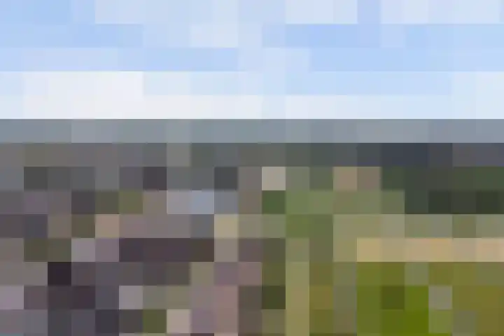 Melkbocht 25 Gouda thumbnail 42
