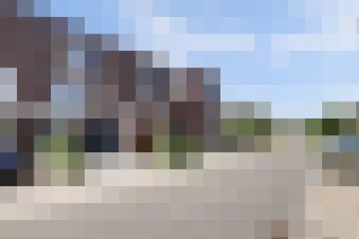 Melkbocht 25 Gouda thumbnail 5