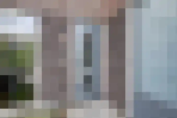 Melkbocht 25 Gouda thumbnail 7