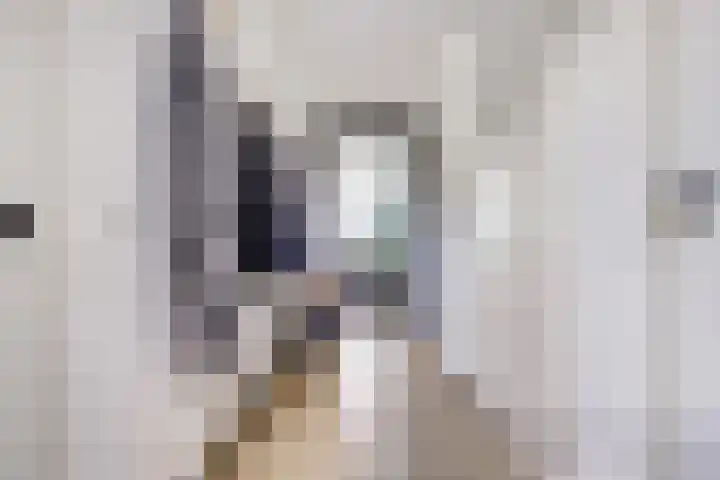 Melkbocht 25 Gouda thumbnail 8