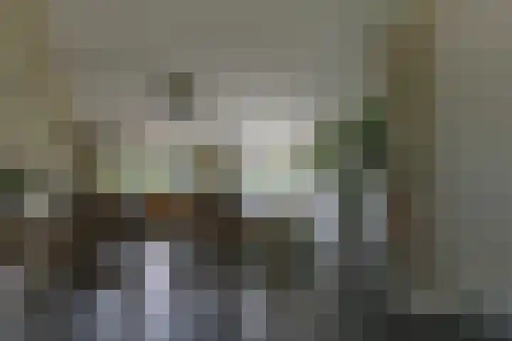 Melkbon 13 Enkhuizen thumbnail 11