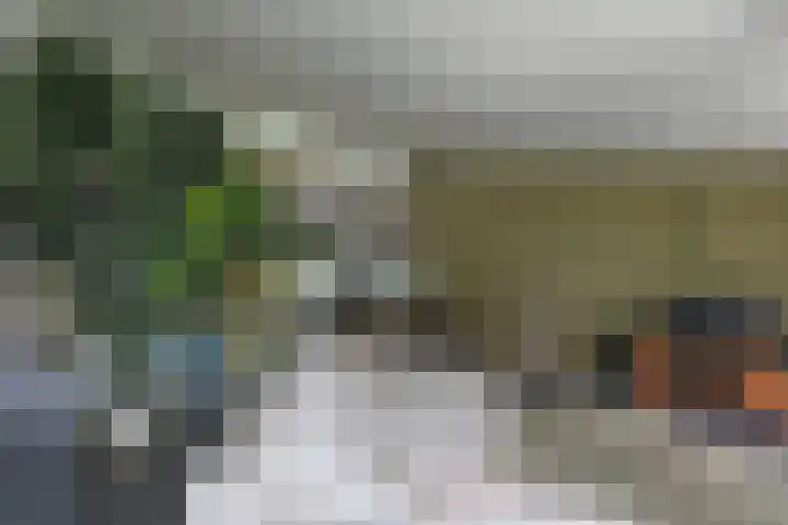 Melkbon 13 Enkhuizen thumbnail 17