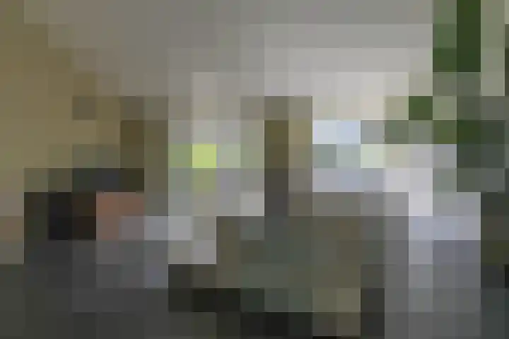 Melkbon 13 Enkhuizen thumbnail 18