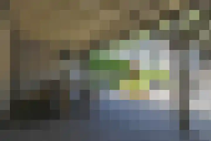 Melkbon 13 Enkhuizen thumbnail 4