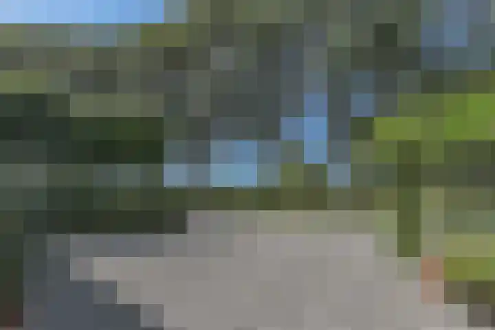 Melkbon 13 Enkhuizen thumbnail 5