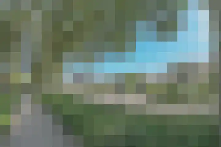Melkbon 13 Enkhuizen thumbnail 6