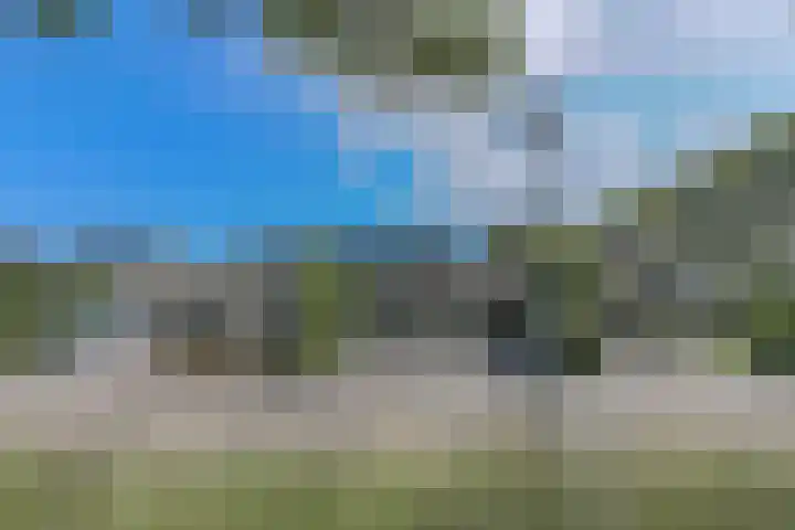 Melkbon 13 Enkhuizen thumbnail 7