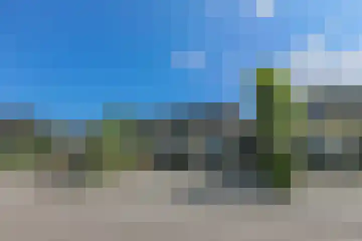 Melkbon 13 Enkhuizen thumbnail 8