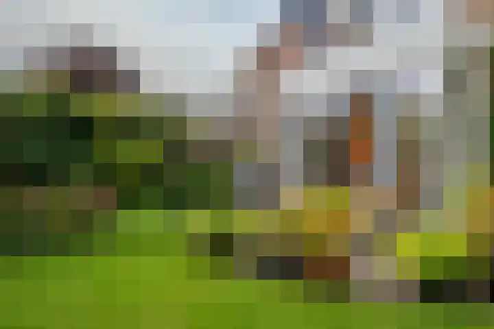 Melkbon 33 Enkhuizen thumbnail 21