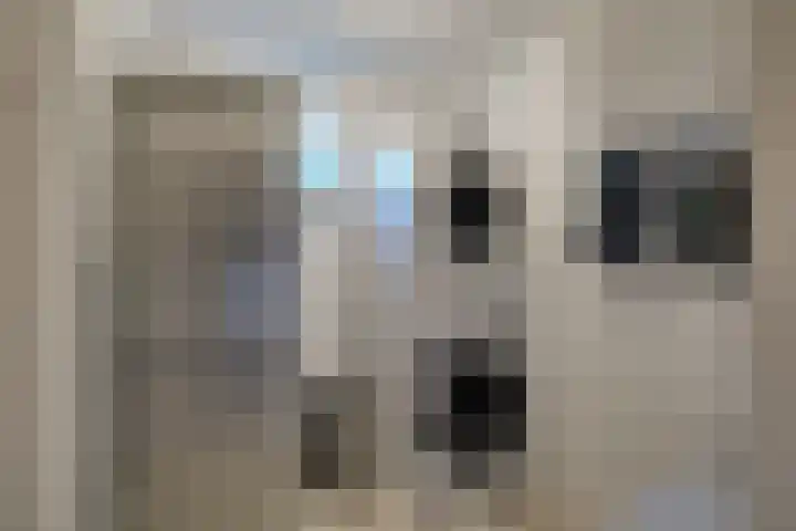 Melkbon 33 Enkhuizen thumbnail 8