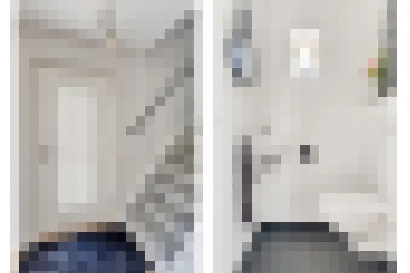 Melkdam 11 Lith thumbnail 12