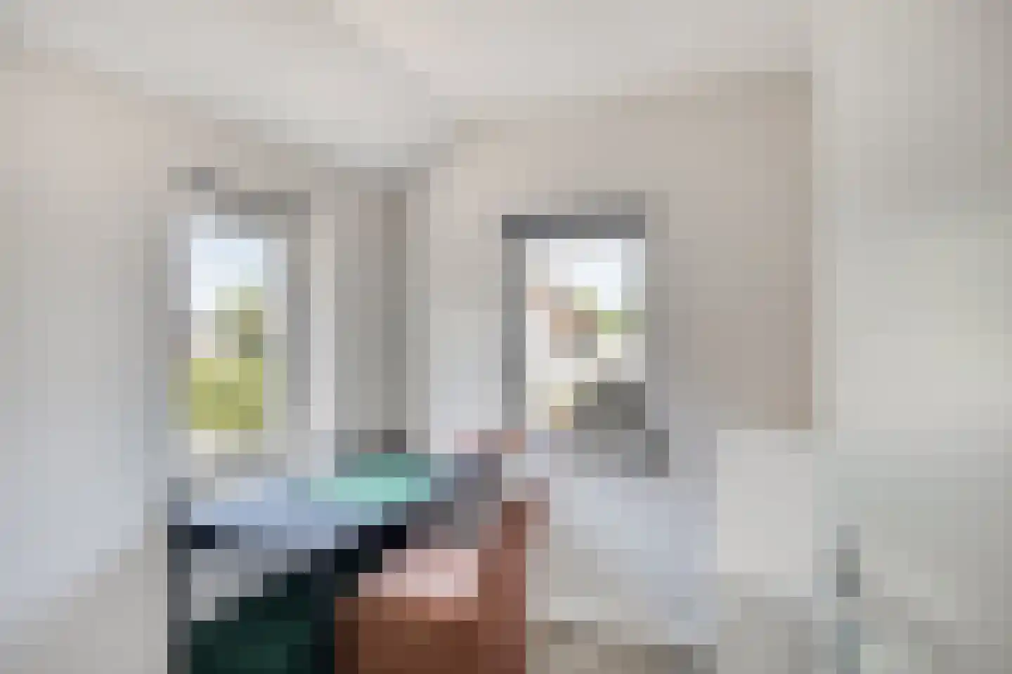 Melkdam 11 Lith thumbnail 17