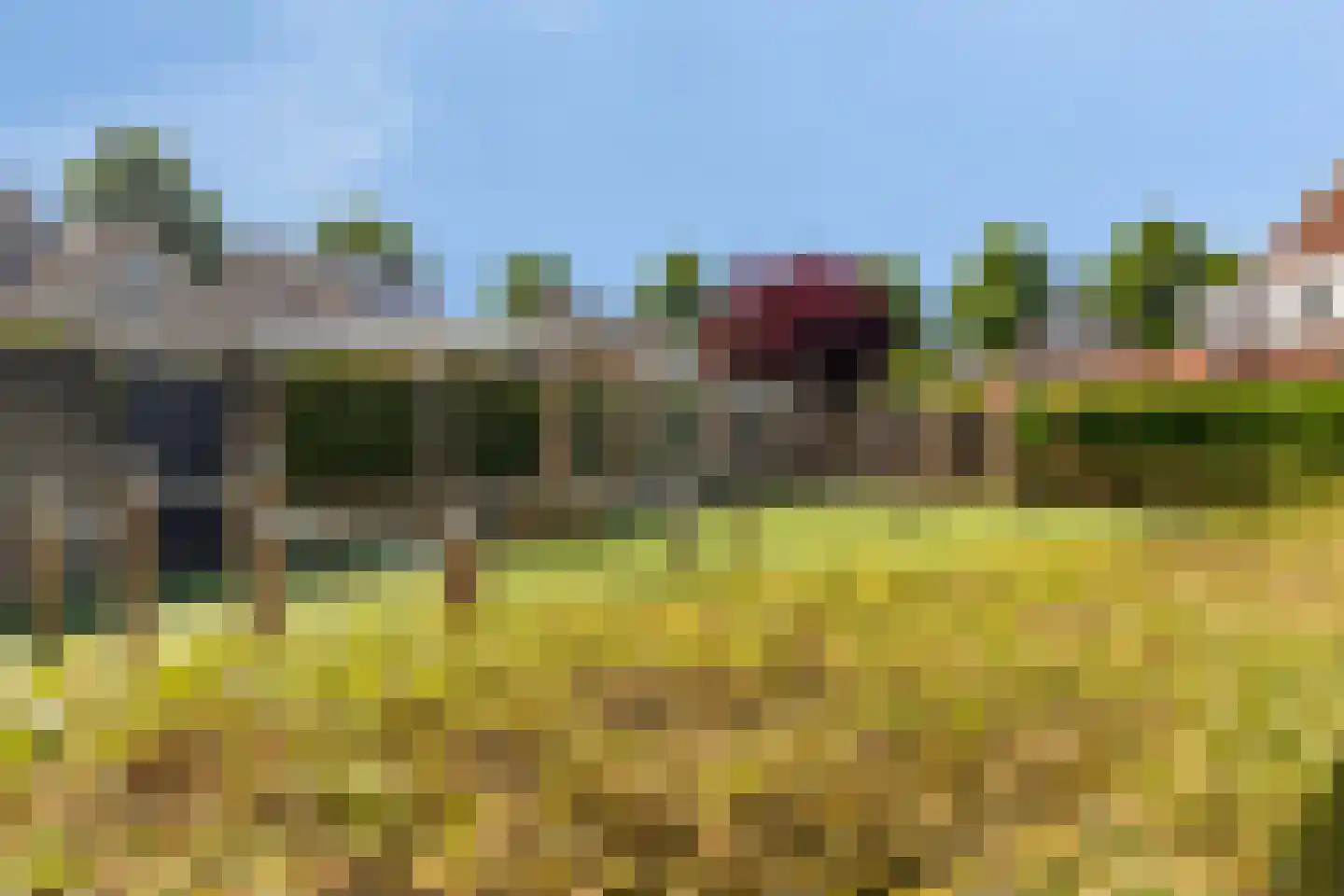 Melkdam 11 Lith thumbnail 28