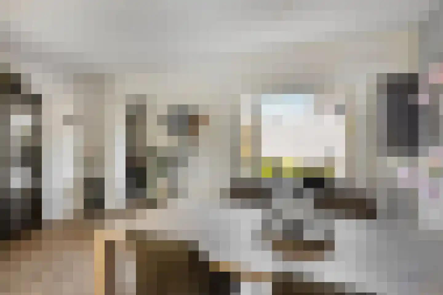 Melkdam 11 Lith thumbnail 8