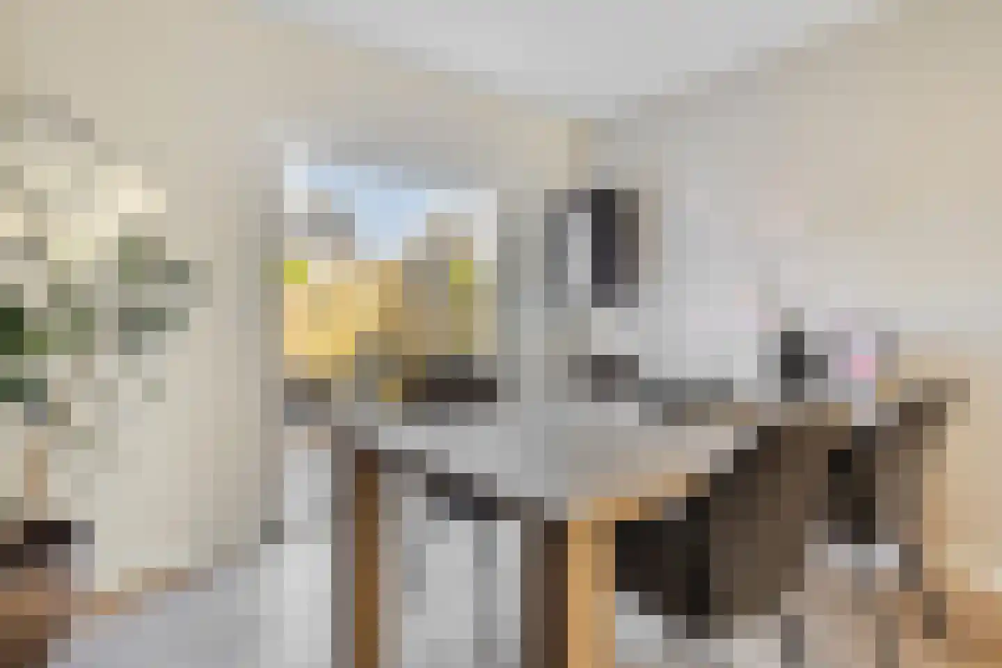 Melkdam 11 Lith thumbnail 9