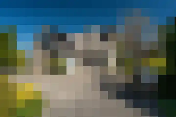 Melkdam 17 Lith