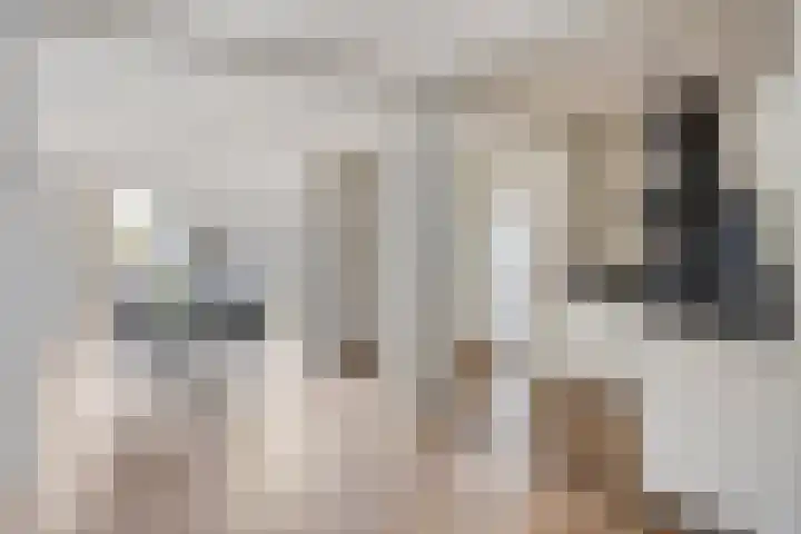 Melkdam 17 Lith thumbnail 15