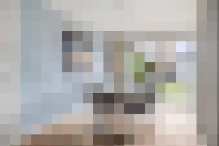 Melkdam 17 Lith thumbnail 16