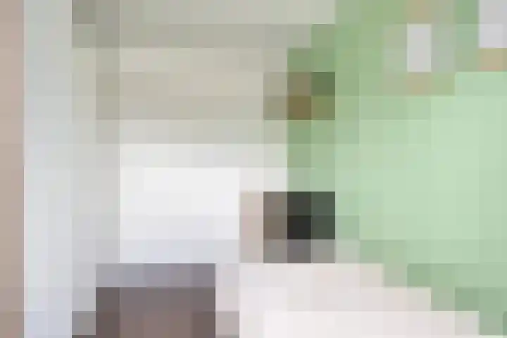 Melkdam 17 Lith thumbnail 31
