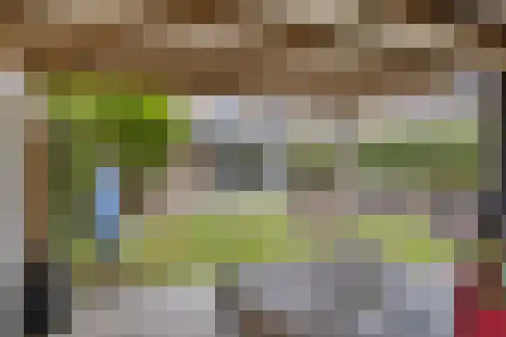 Melkdam 17 Lith thumbnail 51