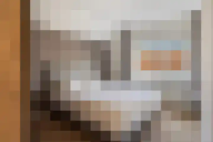Melkdam 7 Lith thumbnail 11