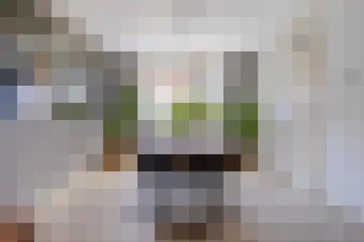 Melkdam 7 Lith foto 3