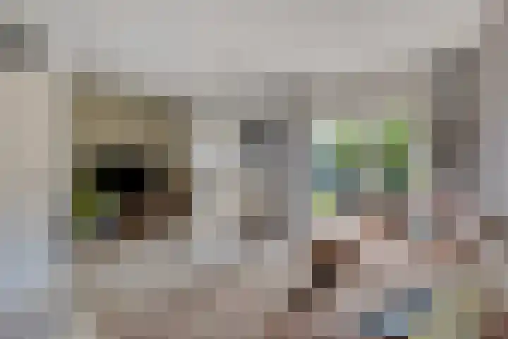 Melkdam 7 Lith thumbnail 4