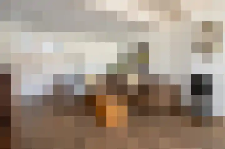Melkdijkje 10 Goedereede thumbnail 12