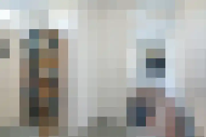 Melkdijkje 10 Goedereede thumbnail 22