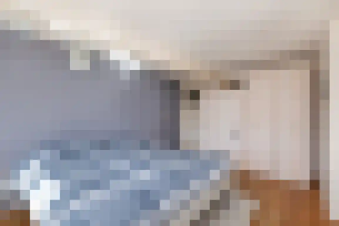 Melkdijkje 10 Goedereede thumbnail 25
