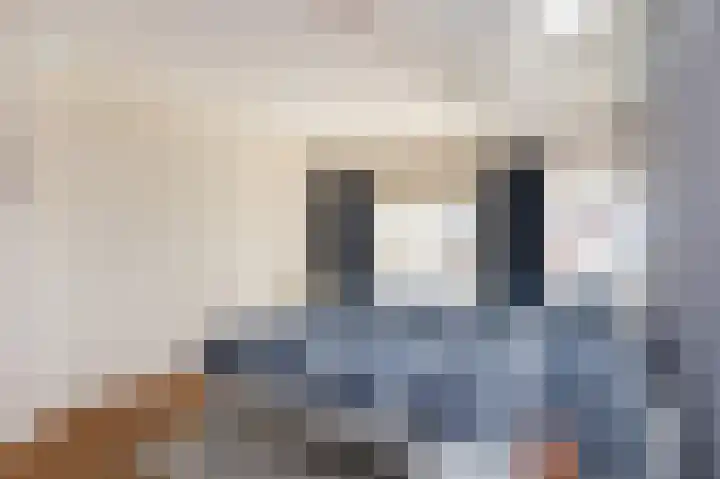 Melkdijkje 10 Goedereede thumbnail 25
