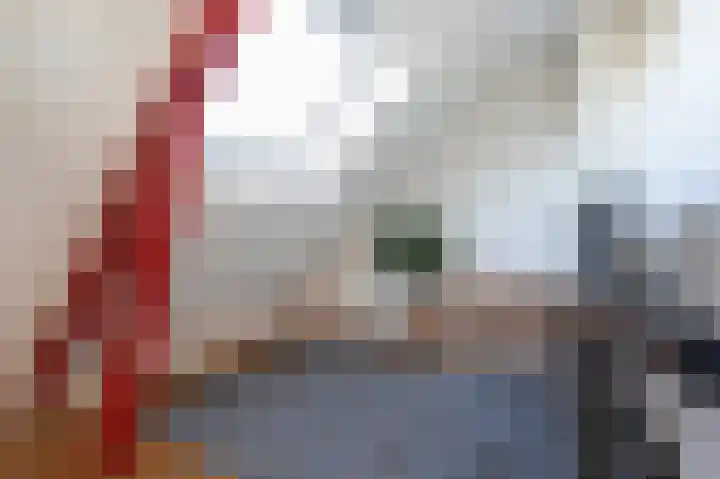 Melkdijkje 10 Goedereede thumbnail 27